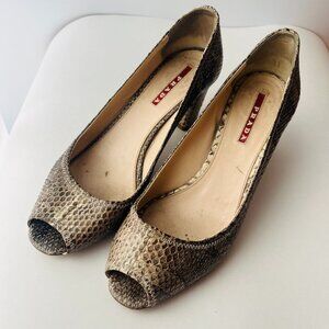 PRADA | Shoes | PRADA Snakeskin Heels (Size : 36)